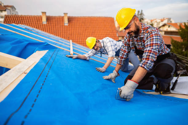 Best Roof Ventilation Installation  in St Bonifacius, MN