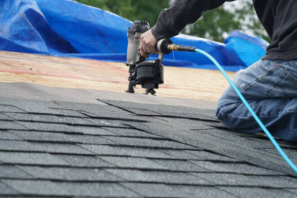Best Roof Ventilation Installation  in St Bonifacius, MN