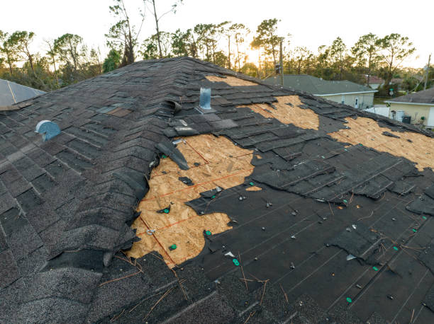 Best Gutter Installation and Repair  in St Bonifacius, MN