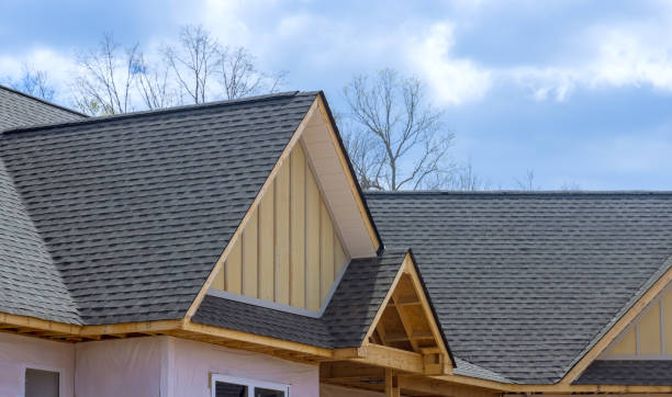 Best Roof Maintenance and Cleaning  in St Bonifacius, MN