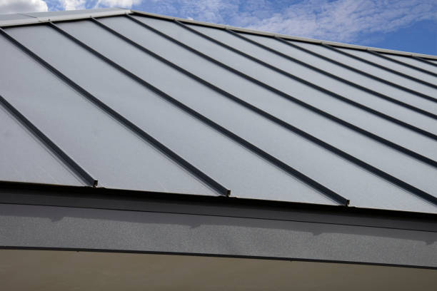 Best Roof Coating and Sealing  in St Bonifacius, MN