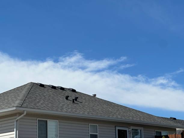 Best Hot Roofs  in St Bonifacius, MN